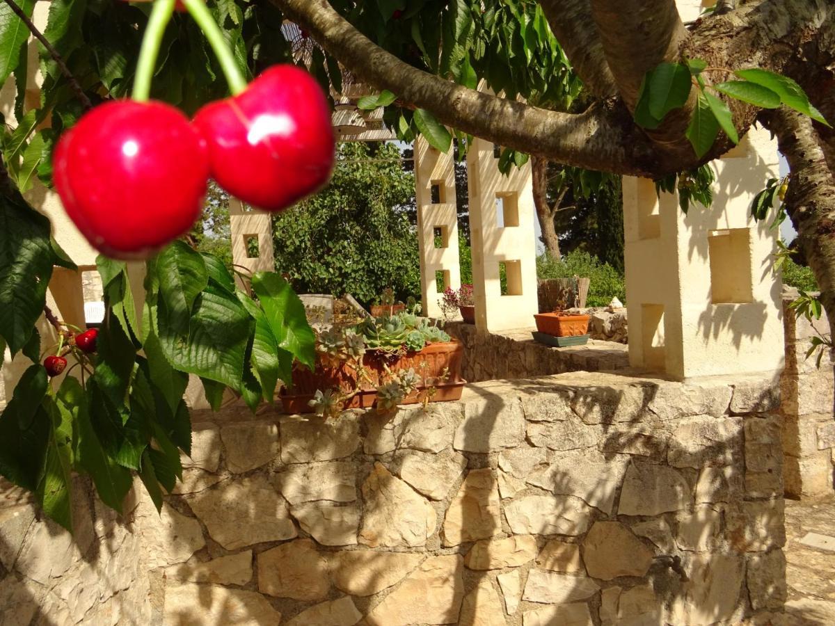 Trulli Di Zia Tata Guest House Locorotondo Exterior photo